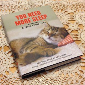 Cat Humor, cat advice - You need more sleep